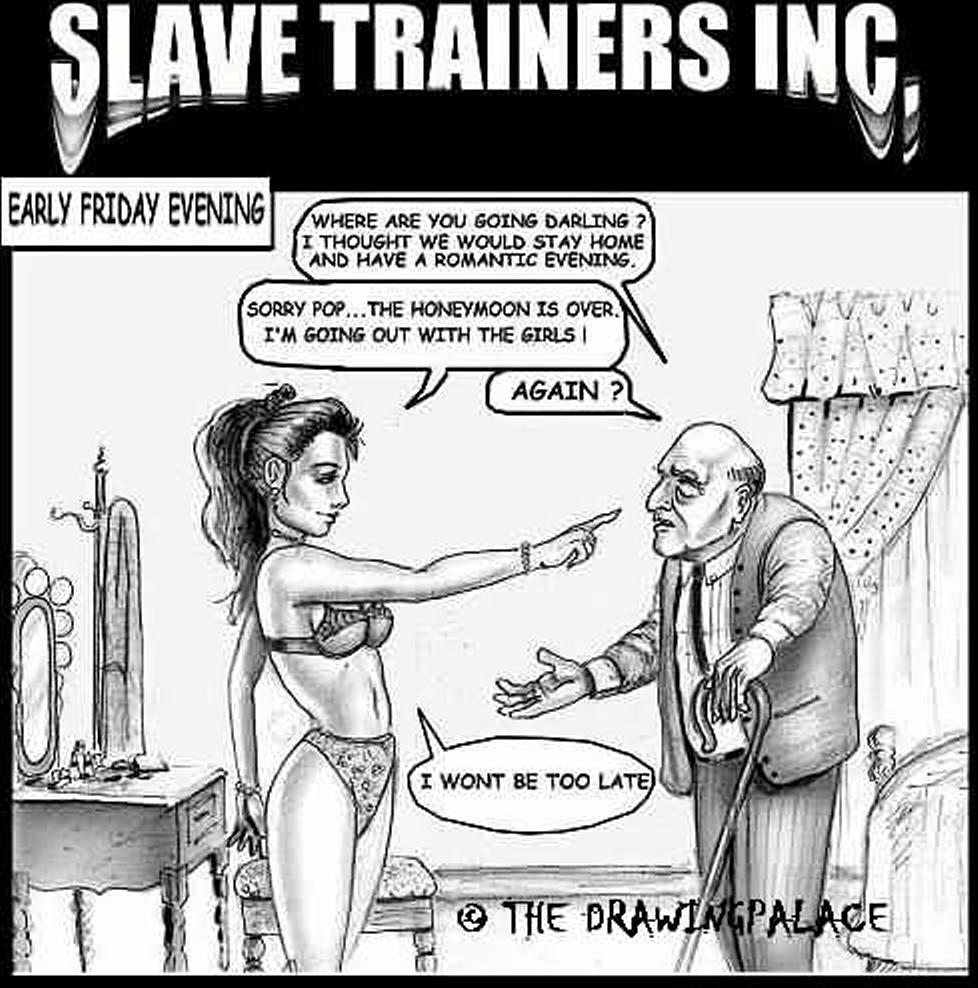Slave training become hole cock compilation