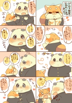 Lesser-kun to Panda-kun. 4