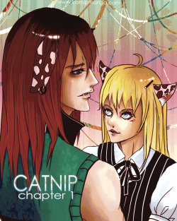Realdandy--Catnip