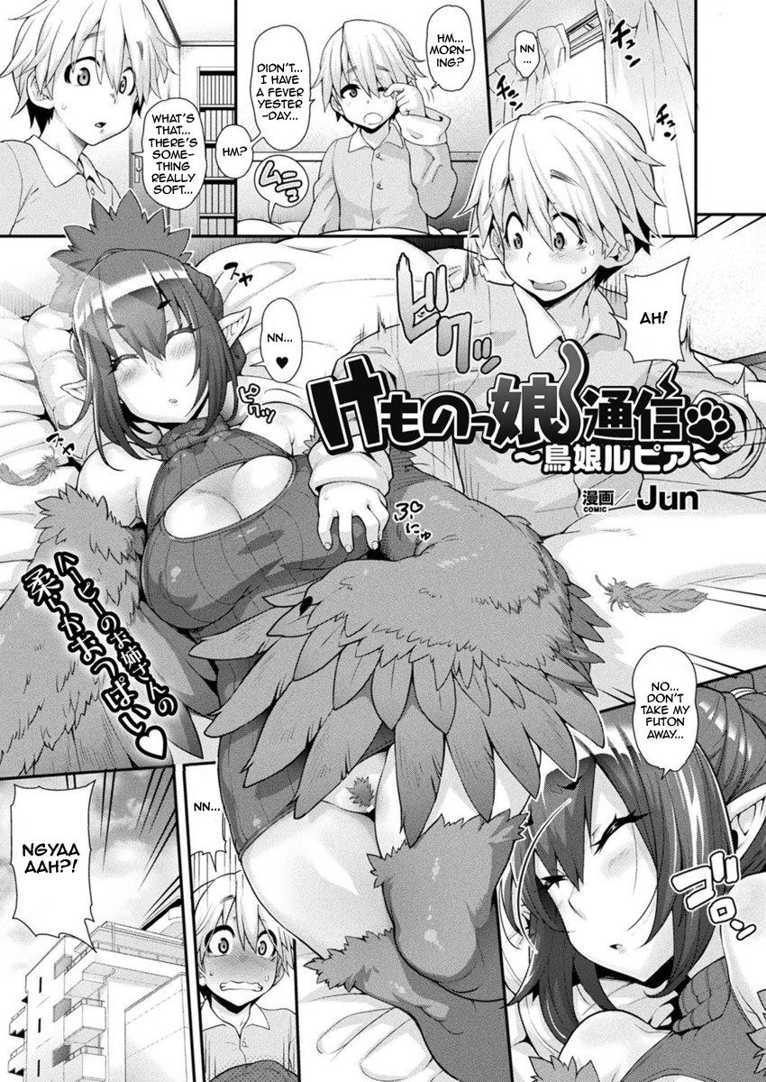 Animal Girl Anime Porn - Kemonokko Tsuushin ~ Toriko Rupia | Animal Girl Hotline ~ Bird Girl Rupia -  Page 1 - HentaiRox